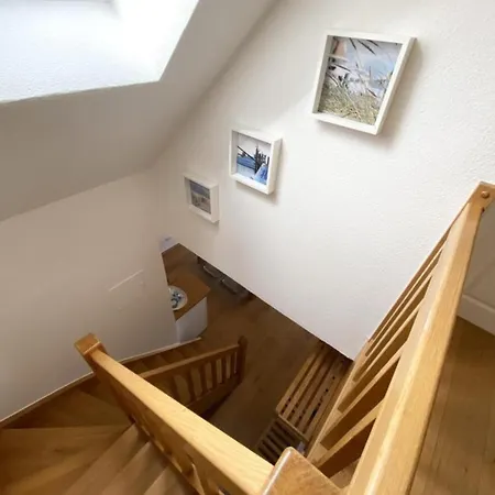 Uttied Auf
